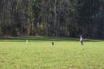 IMG_8712.jpeg