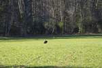 IMG_8713.jpeg