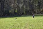 IMG_8714.jpeg