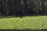 IMG_8716.jpeg