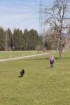 IMG_8762.jpeg