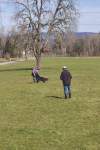IMG_8763.jpeg