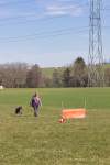IMG_8766.jpeg