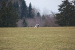 Concours_Annuel_20-03-10_-_017.jpg