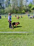 Internationale Ausstellung für Deutsche SchäferhundeFribourg (Schweiz) am 19. April 2025 - 16 sur 32.jpeg