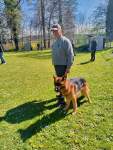 Internationale Ausstellung für Deutsche SchäferhundeFribourg (Schweiz) am 19. April 2025 - 19 sur 32.jpeg