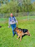 Internationale Ausstellung für Deutsche SchäferhundeFribourg (Schweiz) am 19. April 2025 - 21 sur 32.jpeg
