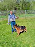 Internationale Ausstellung für Deutsche SchäferhundeFribourg (Schweiz) am 19. April 2025 - 22 sur 32.jpeg