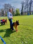 Internationale Ausstellung für Deutsche SchäferhundeFribourg (Schweiz) am 19. April 2025 - 30 sur 32.jpeg