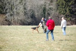 Photos-181.jpg