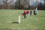 Photos_-_240.jpg