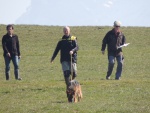 Challenge Romand BA Le Jorat 18-19-03-2016 - 327 sur 423.jpg