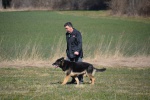 Challenge Romand BA Le Jorat 18-19-03-2016 - 324 sur 1117.jpg