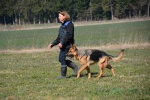 Challenge Romand BA Le Jorat 18-19-03-2016 - 468 sur 1117.jpg