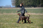 Challenge Romand BA Le Jorat 18-19-03-2016 - 518 sur 1117.jpg