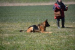 Challenge Romand BA Le Jorat 18-19-03-2016 - 706 sur 1117.jpg