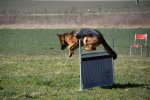 Challenge Romand BA Le Jorat 18-19-03-2016 - 747 sur 1117.jpg