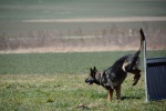 Challenge Romand BA Le Jorat 18-19-03-2016 - 852 sur 1117.jpg