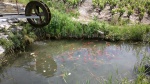 2013-06-08-2197.jpg