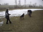 04_02_06_-_22.jpg