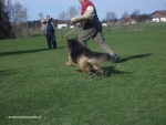 08_04_06_-_014.jpg