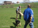 08_04_06_-_131.jpg