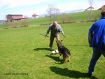 08_04_06_Massimo_-_85.jpg