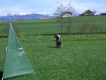 2005 - 031.jpg