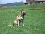 2005 - 062.jpg