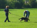 2005 - 366.jpg