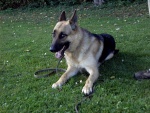 2005 - 492.jpg
