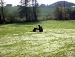2005 - 547.jpg