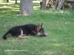 24_06_06_-_07.jpg