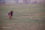 17_02_07_-_124.jpg