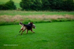 27_06_07_-_231.jpg