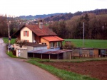 Elevage berger allemand Les Charmilles - 1 sur 41.jpg