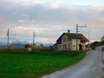 Elevage berger allemand Les Charmilles - 2 sur 41.jpg